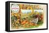 Male and Female Turkeys, Pumpkins-null-Framed Stretched Canvas