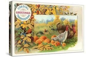 Male and Female Turkeys, Pumpkins-null-Stretched Canvas