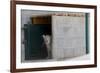 Male Arabian Leopard (Panthera Pardus Nimr) Looking Out At Its Enclosure-Nick Garbutt-Framed Photographic Print