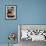 Male Baikal Seal Billy Performs a Dip in Hot Spring, Holding a Sake Bottle at an Aquarium in Hakone-null-Framed Photographic Print displayed on a wall