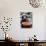 Male Baikal Seal Billy Performs a Dip in Hot Spring, Holding a Sake Bottle at an Aquarium in Hakone-null-Photographic Print displayed on a wall