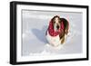 Male Basset Hound(S) in Snow, St. Charles, Illinois, USA-Lynn M^ Stone-Framed Photographic Print