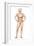 Male Body Standing, with Full Digestive System Superimposed-null-Framed Art Print