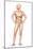 Male Body Standing, with Full Digestive System Superimposed-null-Mounted Art Print