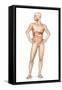 Male Body Standing, with Full Digestive System Superimposed-null-Framed Stretched Canvas