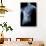 Male Body with Internal Organs-null-Art Print displayed on a wall