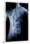 Male Body with Internal Organs-null-Framed Art Print