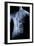 Male Body with Internal Organs-null-Framed Art Print