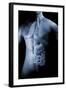 Male Body with Internal Organs-null-Framed Art Print