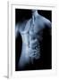 Male Body with Internal Organs-null-Framed Art Print