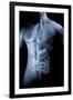 Male Body with Internal Organs-null-Framed Art Print