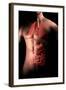 Male Body with Internal Organs-null-Framed Art Print