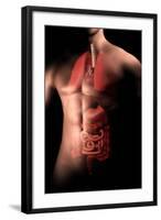 Male Body with Internal Organs-null-Framed Art Print