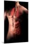Male Body with Internal Organs-null-Mounted Art Print
