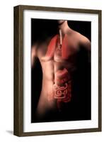 Male Body with Internal Organs-null-Framed Art Print