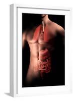 Male Body with Internal Organs-null-Framed Art Print