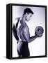 Male Bodybuilder Curling a Dumbbell-null-Framed Stretched Canvas