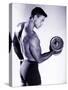 Male Bodybuilder Curling a Dumbbell-null-Stretched Canvas