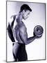 Male Bodybuilder Curling a Dumbbell-null-Mounted Photographic Print