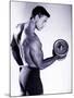 Male Bodybuilder Curling a Dumbbell-null-Mounted Photographic Print