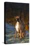 Male Boxer-Lynn M^ Stone-Stretched Canvas