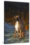 Male Boxer-Lynn M^ Stone-Stretched Canvas