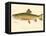 Male Brook Trout-null-Framed Stretched Canvas