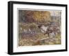 Male Caribou Watches Females Swim Across a River-E. Calawell-Framed Art Print