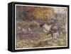 Male Caribou Watches Females Swim Across a River-E. Calawell-Framed Stretched Canvas