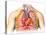Male Chest Anatomy of Thorax with Heart, Veins, Arteries and Lungs-null-Stretched Canvas