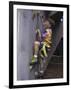 Male Child Wall Climbing Indoors-null-Framed Photographic Print