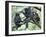 Male Chimpanzee Grooms His Brother, Gombe National Park, Tanzania-Kristin Mosher-Framed Premium Photographic Print