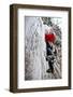 Male Climber Leads Up a Vertical Frozen Waterfall in a Snow Storm, Vail, Colorado-Daniel Gambino-Framed Photographic Print