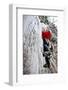 Male Climber Leads Up a Vertical Frozen Waterfall in a Snow Storm, Vail, Colorado-Daniel Gambino-Framed Photographic Print