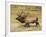 Male Elk Bugling: Moraine Park, Rocky Mountain National Park, Colorado, USA-Michel Hersen-Framed Photographic Print