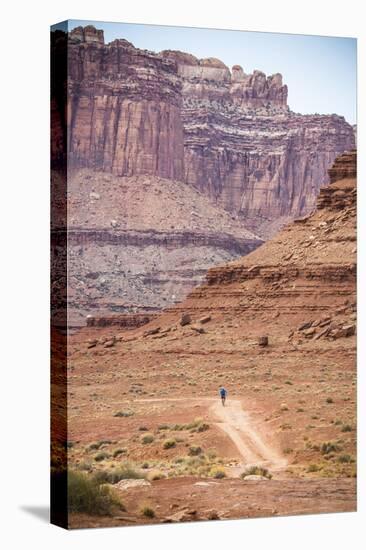 Male Endurance Cyclist Rides Mountain Bike on White Rim Trail in Canyonlands National Park, Utah-Matt Jones-Stretched Canvas