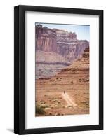 Male Endurance Cyclist Rides Mountain Bike on White Rim Trail in Canyonlands National Park, Utah-Matt Jones-Framed Photographic Print