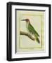 Male European Green Woodpecker-Georges-Louis Buffon-Framed Giclee Print