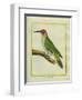 Male European Green Woodpecker-Georges-Louis Buffon-Framed Giclee Print