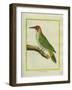 Male European Green Woodpecker-Georges-Louis Buffon-Framed Giclee Print