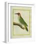 Male European Green Woodpecker-Georges-Louis Buffon-Framed Giclee Print
