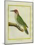 Male European Green Woodpecker-Georges-Louis Buffon-Mounted Giclee Print