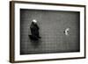 Male Figure and Pidgeon-Sharon Wish-Framed Photographic Print