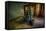 Male Figure in Abandoned Building with Televisions-Nathan Wright-Framed Stretched Canvas