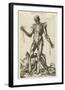 Male figure with muscles and skeleton-Andreas Versalius-Framed Art Print
