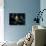 Male Francois' Leaf Monkey Relaxes with His Parents at the Zoological Gardens Zoorasia in Yokohama-null-Photographic Print displayed on a wall