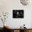 Male Francois' Leaf Monkey Relaxes with His Parents at the Zoological Gardens Zoorasia in Yokohama-null-Photographic Print displayed on a wall