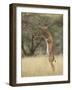 Male Gerenuk (Litocranius Walleri), Samburu National Reserve, Kenya-James Hager-Framed Photographic Print