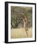 Male Gerenuk (Litocranius Walleri), Samburu National Reserve, Kenya-James Hager-Framed Photographic Print