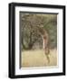 Male Gerenuk (Litocranius Walleri), Samburu National Reserve, Kenya-James Hager-Framed Photographic Print